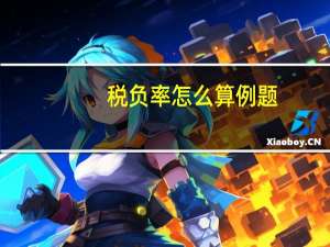 税负率怎么算例题（税负率怎么算）