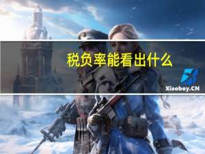 税负率能看出什么