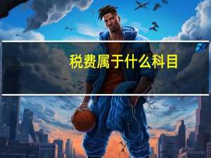 税费属于什么科目 应交税费属于什么科目