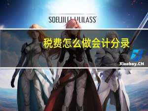 税费怎么做会计分录