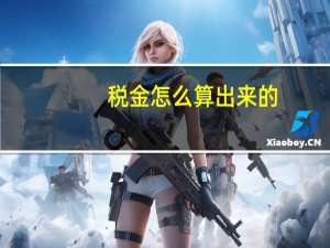 税金怎么算出来的