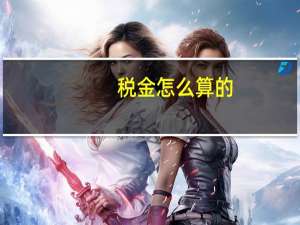 税金怎么算的