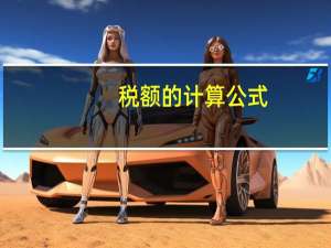 税额的计算公式