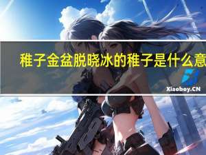 稚子金盆脱晓冰的稚子是什么意思