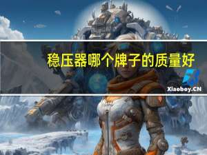 稳压器哪个牌子的质量好
