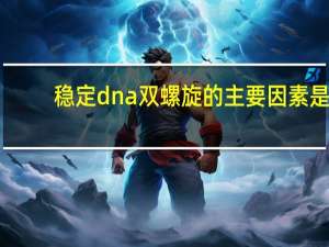 稳定dna双螺旋的主要因素是