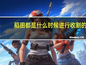 稻田都是什么时候进行收割的