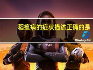 稻瘟病的症状描述正确的是