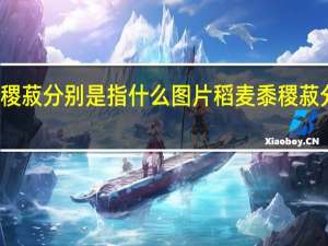稻麦黍稷菽分别是指什么图片 稻麦黍稷菽分别是指什么