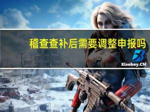 稽查查补后需要调整申报吗