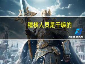 稽核人员是干嘛的