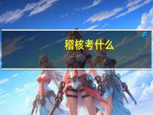 稽核考什么