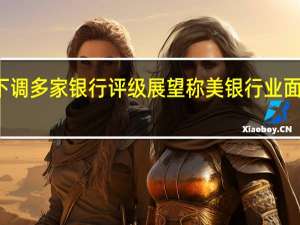 穆迪下调多家银行评级展望称美银行业面临多重压力