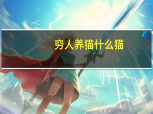 穷人养猫什么猫