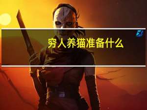 穷人养猫准备什么