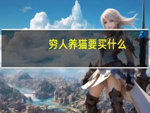 穷人养猫要买什么