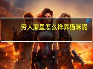 穷人家里怎么样养猫咪呢