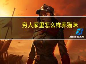 穷人家里怎么样养猫咪