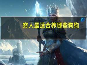 穷人最适合养哪些狗狗