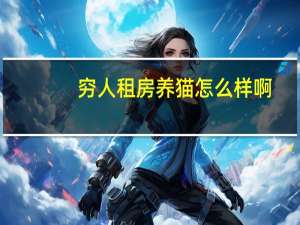 穷人租房养猫怎么样啊