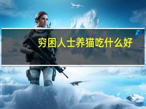 穷困人士养猫吃什么好