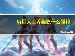 穷困人士养猫吃什么猫粮