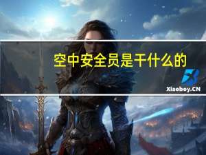 空中安全员是干什么的