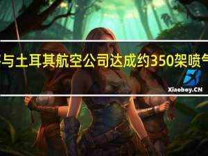 空客即将与土耳其航空公司达成约350架喷气式飞机的交易