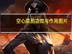 空心菜的功效与作用图片（空心菜的功效）