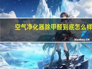 空气净化器除甲醛到底怎么样