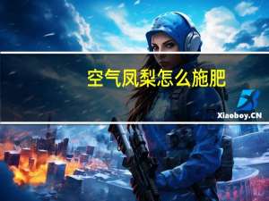 空气凤梨怎么施肥