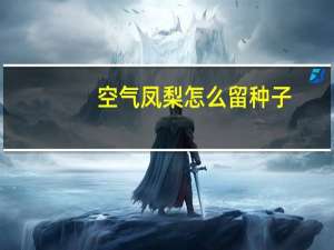 空气凤梨怎么留种子