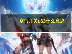 空气开关c63什么意思