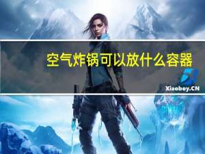 空气炸锅可以放什么容器