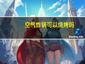 空气炸锅可以烧烤吗