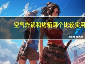 空气炸锅和烤箱哪个比较实用