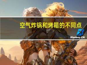 空气炸锅和烤箱的不同点