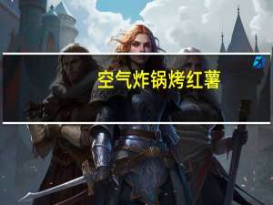 空气炸锅烤红薯（空放贷款）