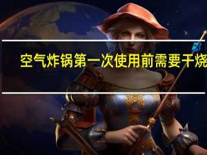 空气炸锅第一次使用前需要干烧吗