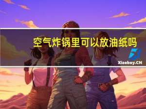 空气炸锅里可以放油纸吗