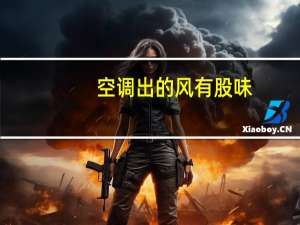 空调出的风有股味