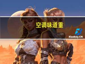 空调味道重