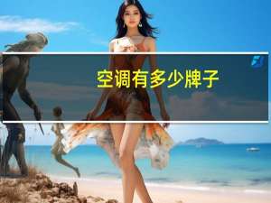 空调有多少牌子
