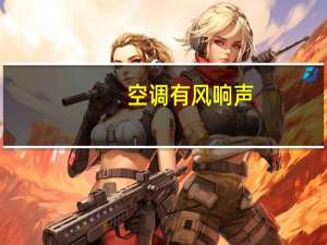 空调有风响声