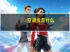 空调虫是什么