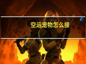 空运宠物怎么接
