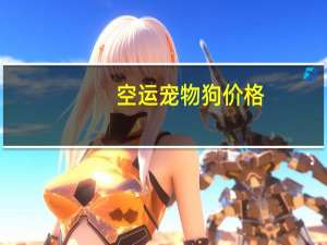 空运宠物狗价格