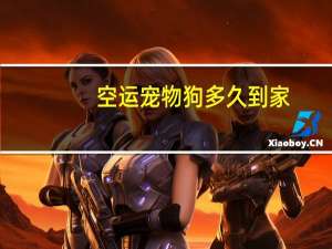 空运宠物狗多久到家