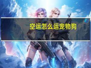 空运怎么运宠物狗