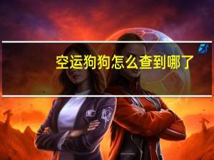空运狗狗怎么查到哪了